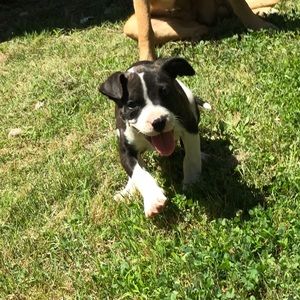 Meet your Posher, Carlos